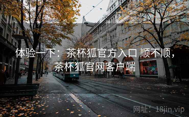 体验一下：茶杯狐官方入口 顺不顺，茶杯狐官网客户端
