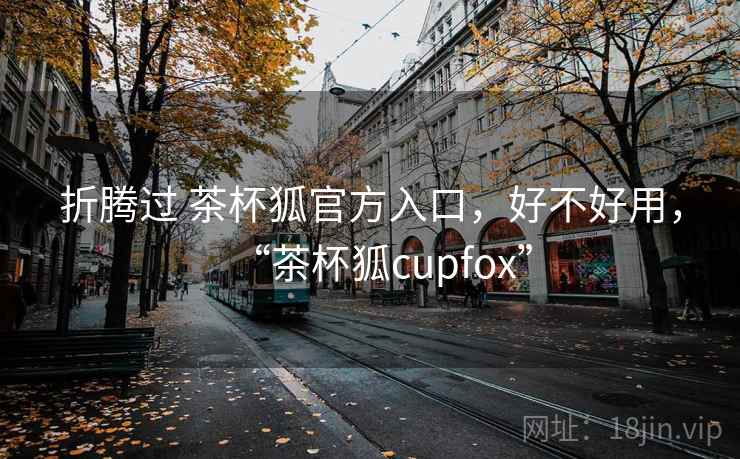 折腾过 茶杯狐官方入口,好不好用,“茶杯狐cupfox”